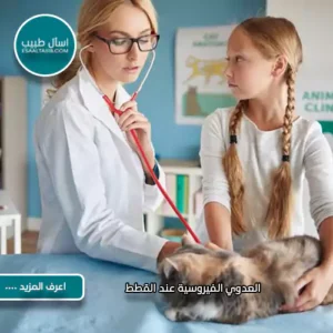 العدوي الفيروسية عند القطط