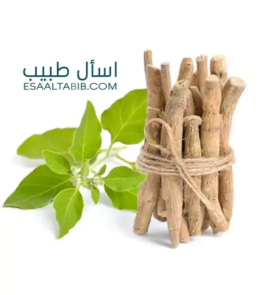 عشبة الاشواجندا