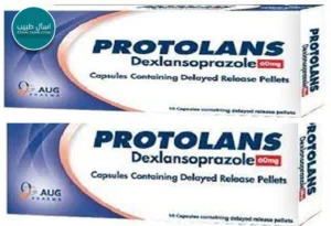 protolans