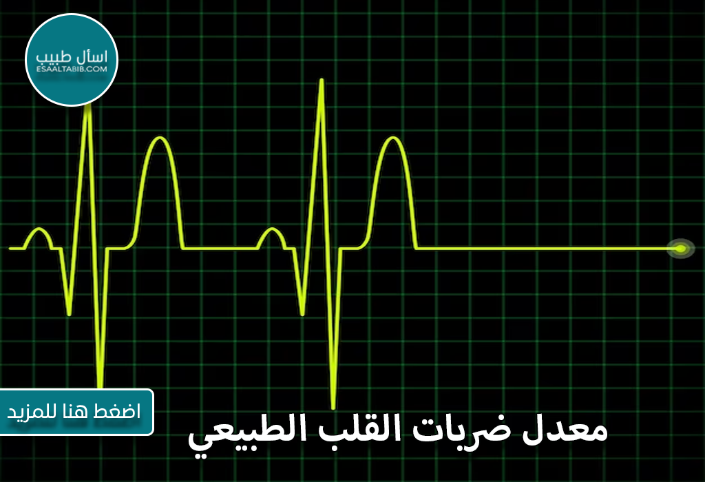 معدل ضربات القلب الطبيعي