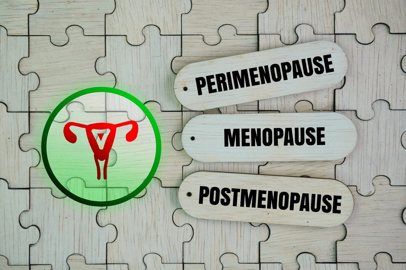 الرسموضيحي لدورة الحيض عند النساء موضحًا تأثير الهرمونات المختلفة
